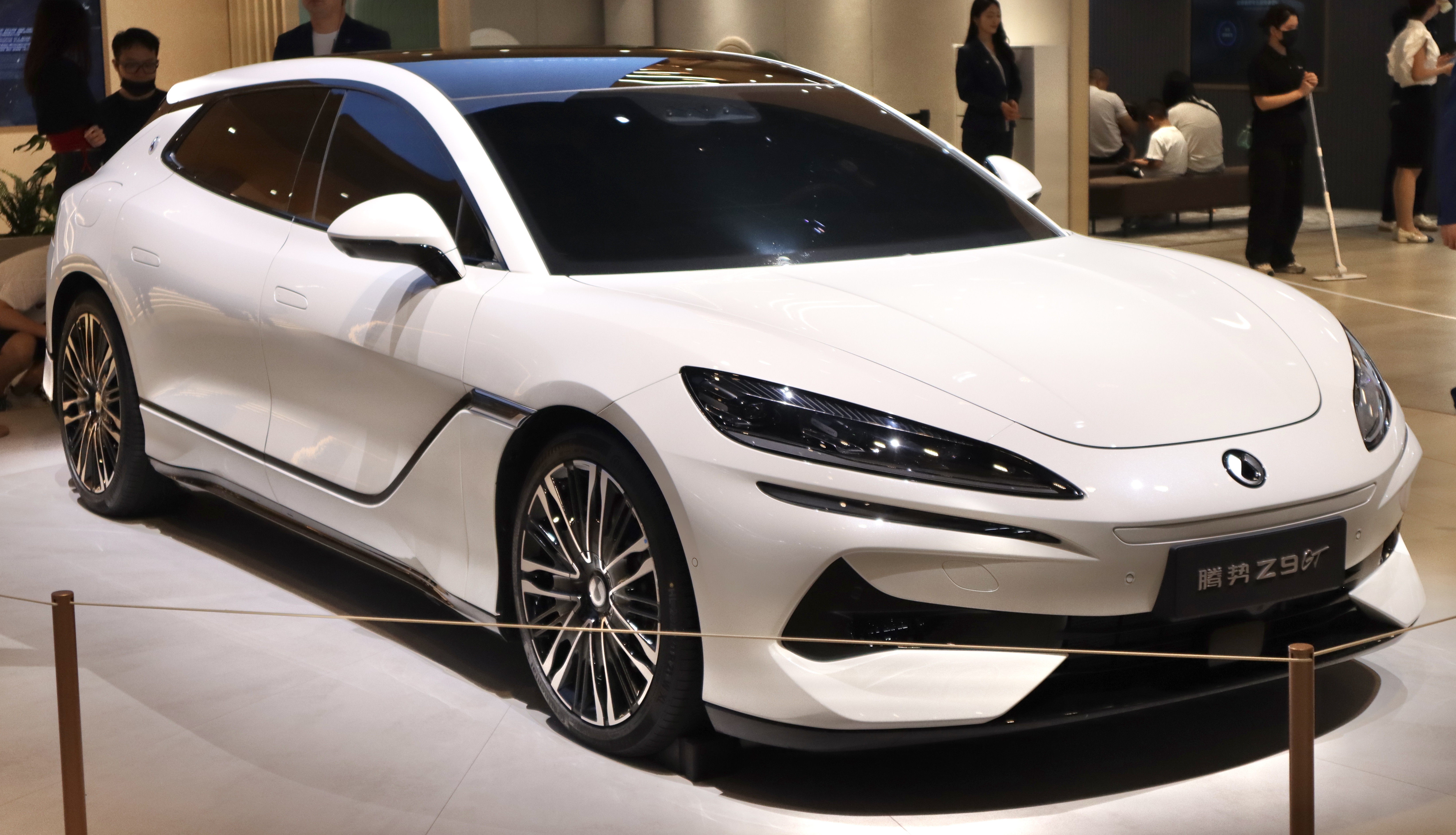Denza Z9